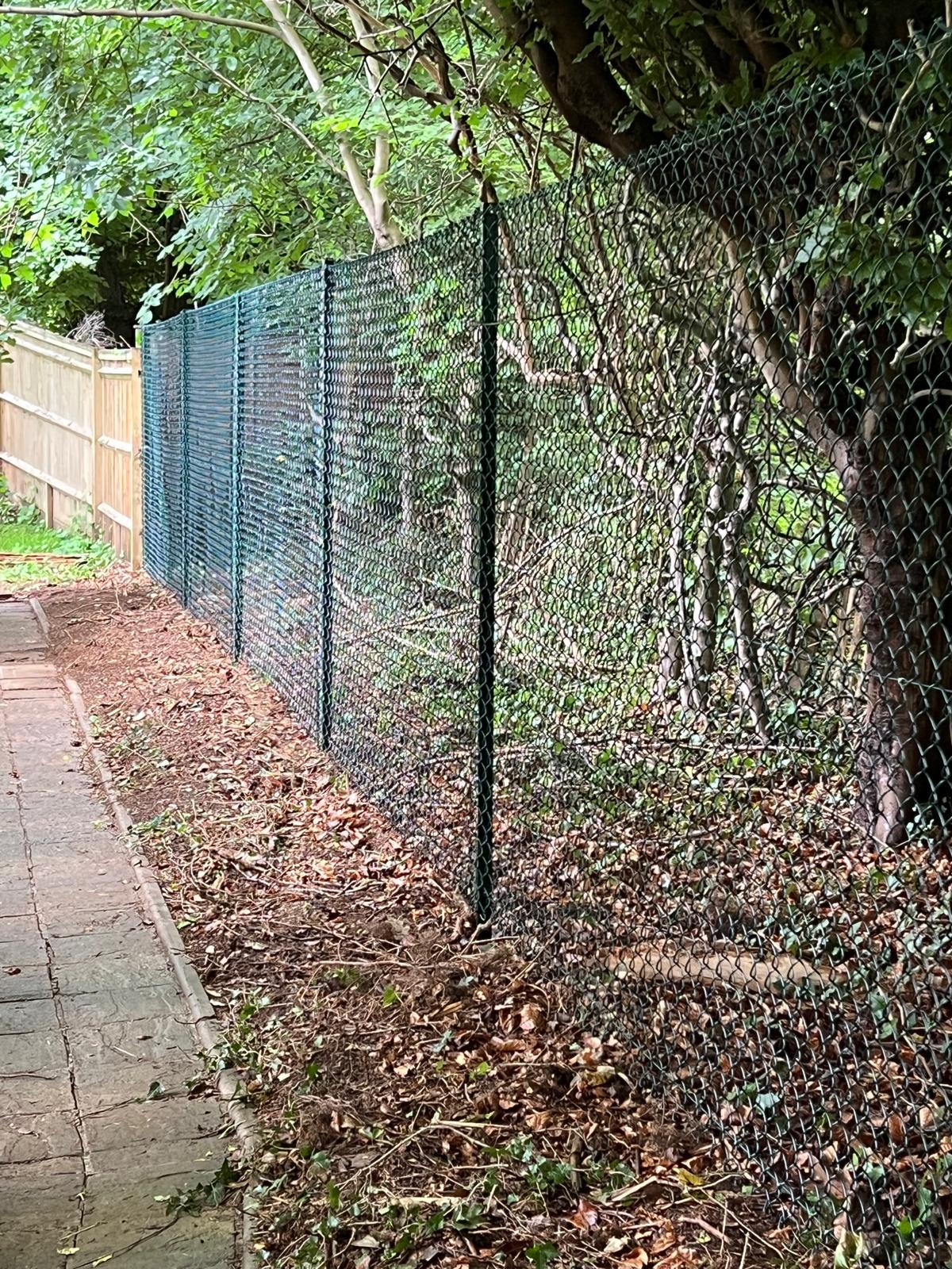 Dog Proof Fencing Hampshire